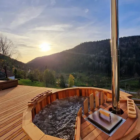 Holiday home Du Mont D'air 4 Etoiles, Au Coeur Du Massif Vosgien, Bain Nordique *