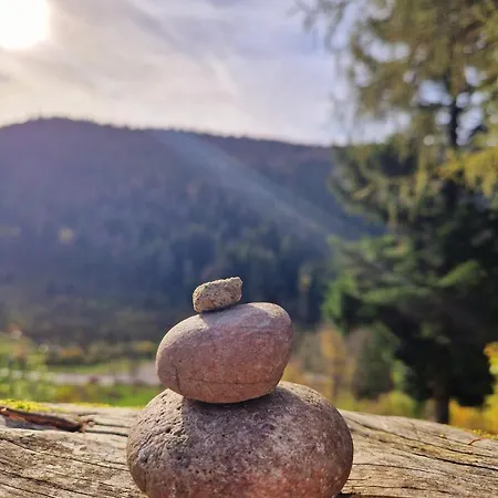 Hébergement de vacances Du Mont D'air 4 étoiles, Au Cœur Du Massif Vosgien, Bain Nordique *