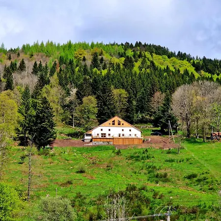 Du Mont D'air 4 étoiles, Au Cœur Du Massif Vosgien, Bain Nordique Hébergement de vacances *
