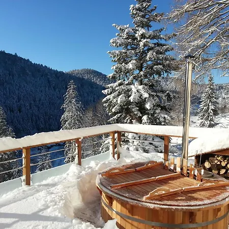 Du Mont D'air 4 Etoiles, Au Coeur Du Massif Vosgien, Bain Nordique Holiday home