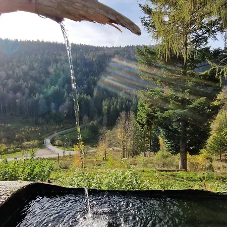 Du Mont D'air 4 Etoiles, Au Coeur Du Massif Vosgien, Bain Nordique * Ventron