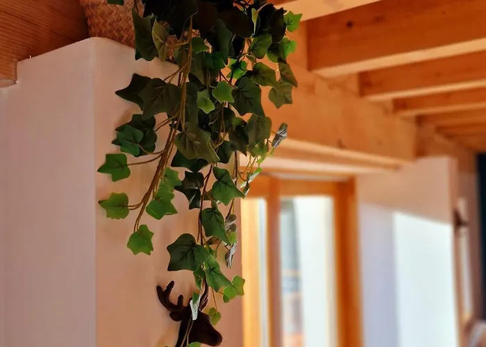 Du Mont D'air 4 Etoiles, Au Coeur Du Massif Vosgien, Bain Nordique * 방트롱