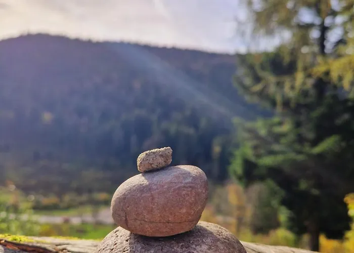 펜션 Du Mont D'air 4 Etoiles, Au Coeur Du Massif Vosgien, Bain Nordique *