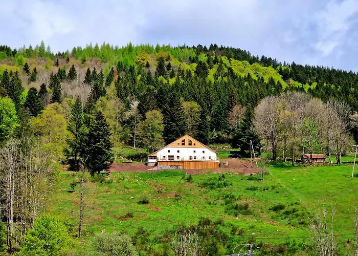 Du Mont D'air 4 Etoiles, Au Coeur Du Massif Vosgien, Bain Nordique 펜션 *