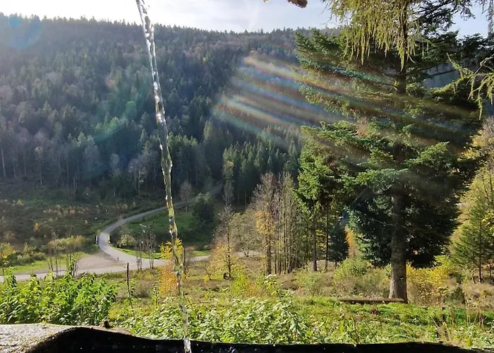 Du Mont D'air 4 Etoiles, Au Coeur Du Massif Vosgien, Bain Nordique * 방트롱